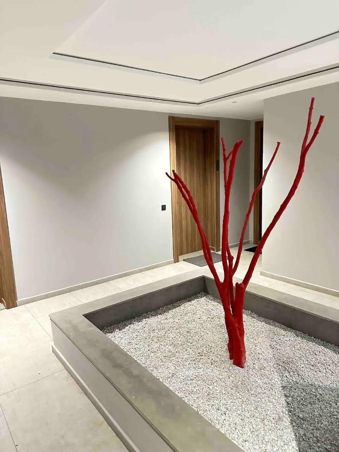 Cosy Appartement Au Centre De คาซาบลังกา ภายนอก รูปภาพ